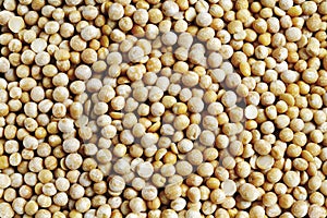 Dried yellow split peas as background