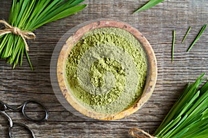 Dried young green barley grass powder with fresh barley grass plant