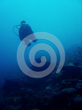 Drift dive scuba diver sabang philippines