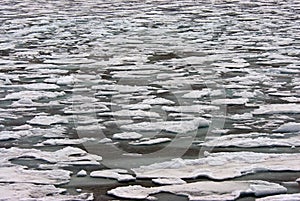 Drift Ice Spitsbergen, Driftijs Spitsbergen