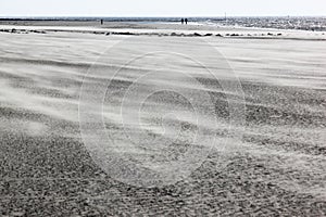 Drift-sand at Ameland Island near Hollum, Netherlands photo