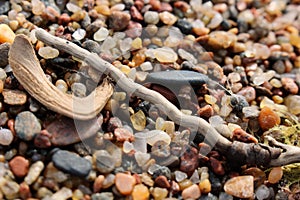 Drift wood on beautiful wet sand macro background