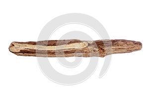 Drift wood isolated