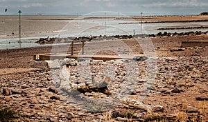 Drift wood in Minehead beach