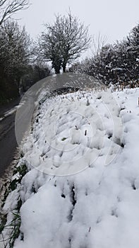 Drifted Snow on a countryside bank
