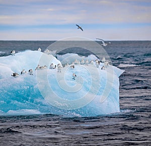 Drifting iceberg near glacier lagoon JÃÂ¶kulsarlon - iceland photo