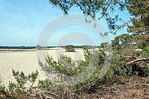 Drifting sand in nature reserve Mosselse zand.