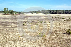 Drifting sand in nature reserve Mosselse zand.