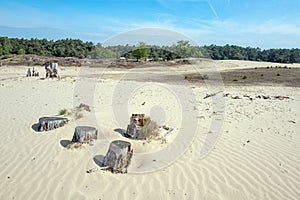 Drifting sand in nature reserve Mosselse zand.