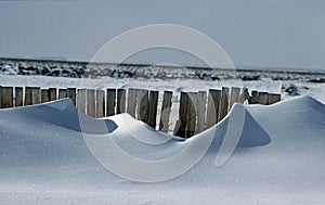 Drifts behind snow fence #1