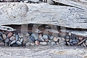 Driftwood