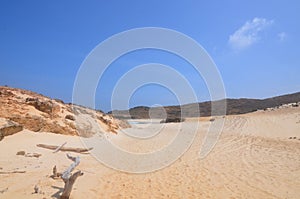 Driftwood Abandoned on a Beautiful Remote Beach In Aruba