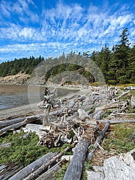 Driftwood Adorns Marthas Beach, LaConner Washington - Shelter Bay photo