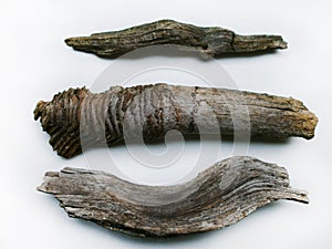 Driftwood/aged wood over white background. photo