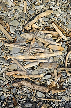 Driftwood and assorted smooth stones on a beach.