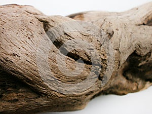 Driftwood bark close up photo