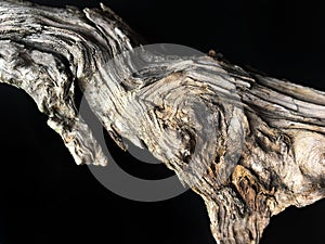 Driftwood bark close up isolated on black