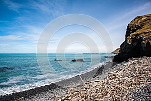 Driftwood beach