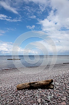 Driftwood on Beach