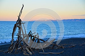 Driftwood Beach Art New Zealand