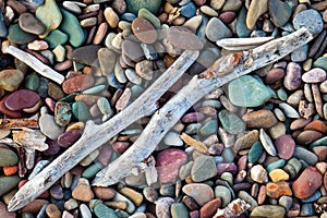 Driftwood on a beach of colorful pebbles and stones