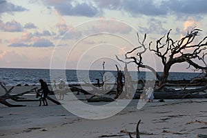 Driftwood Beach, Jekyll Island, GA