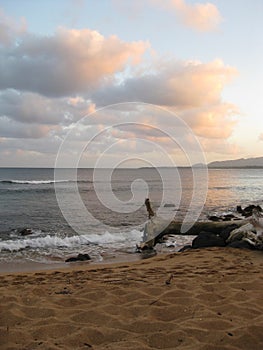 Driftwood on the beach at Kapa`a, Kauai, Hawaii