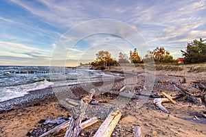 Autumn Driftwood Beach On Lake Superior