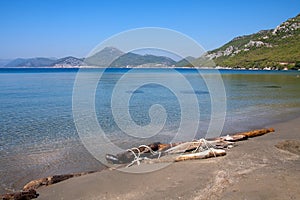 Driftwood on the beach near Dubrovnik, Croatia