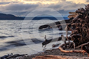 Driftwood beach and ocean at sunset