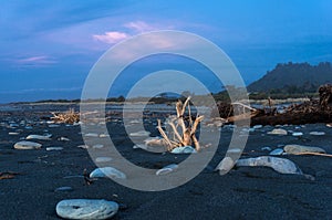 Driftwood on the beach at sunset