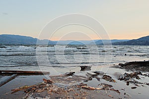 Driftwood on beach with sunset over mountains background