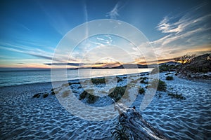 Driftwood on the beach at sunset