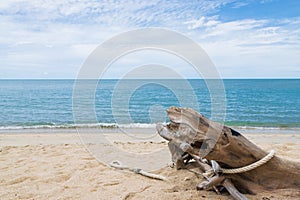 Driftwood on the beautiful beach with soft waves