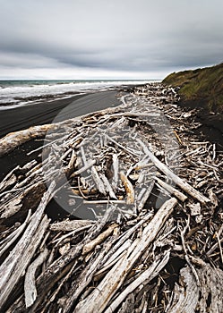 Driftwood on black sand, New Zealand