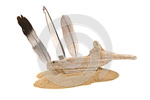 Driftwood creature with feathers on sand pile isolated on white background. Sea beach theme decoration.