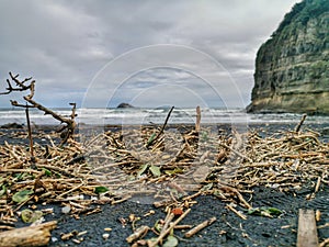 Driftwood debris on a black sand beach in a cloudy day