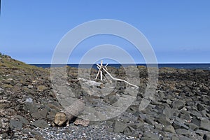 Driftwood frame on a rocky beach