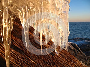 Driftwood and icicles