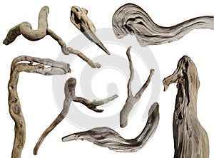 Driftwood isolated