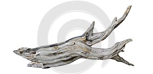 Driftwood isolated on white background, aged branch