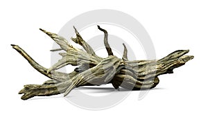 Driftwood isolated on white background, aged branches