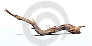 Driftwood isolated on white background, twisted branch