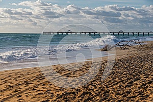 Driftwood and the Juno Beach Fishing Pier