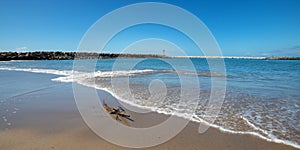 Driftwood and kelp washed ashore on Surfers Knoll beach in Ventura California USA