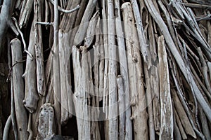 Driftwood on the lake shore.