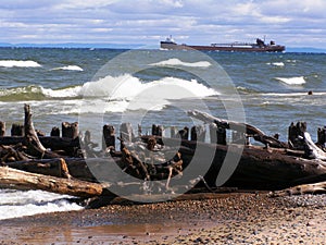 Driftwood on Lake Superior windy waves