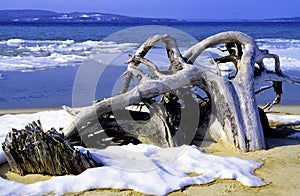 Driftwood on Lake Superior   20444