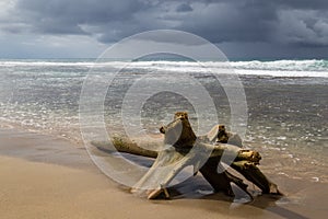 Driftwood log at beach and storm clouds