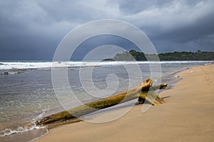 Driftwood log at beach and storm clouds